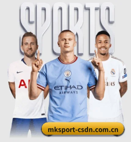 数字竞技愿景（MKSPORTS）